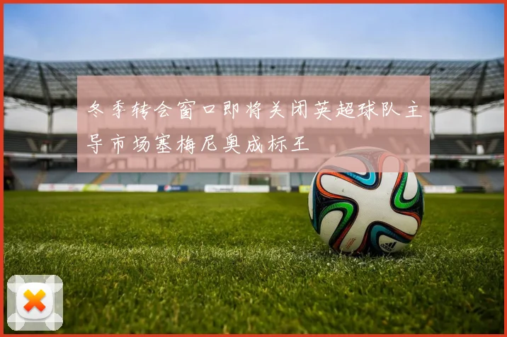 冬季转会窗口即将关闭英超球队主导市场塞梅尼奥成标王